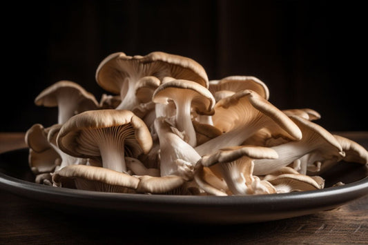 Ricette di funghi di ostriche incredibili: un'esperienza culinaria deliziosa