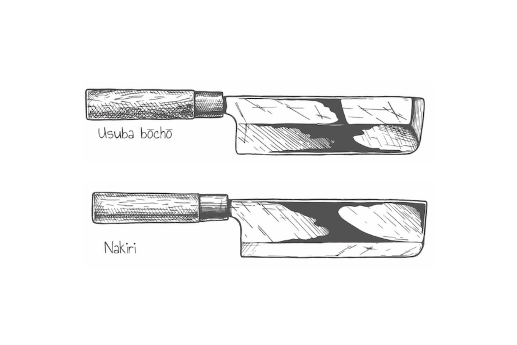 Usuba vs Nakiri quali sono le differenze? santokuknives