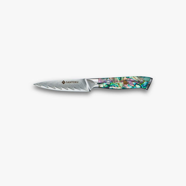 Coltello da frutta Chikashi da 3,5 pollici
