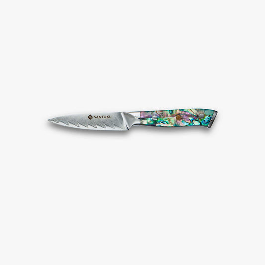 Coltello da frutto di chikashi (ちかし) da 3,5 pollici