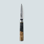 Coltello Aiko in Acciaio Damasco Nero con Manico in Resina Nera Colorata