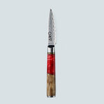 Coltello Aiko in acciaio damasco rosso con manico in resina colorata rossa