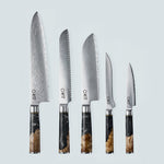Coltello Aiko in Acciaio Damasco Nero con Manico in Resina Nera Colorata
