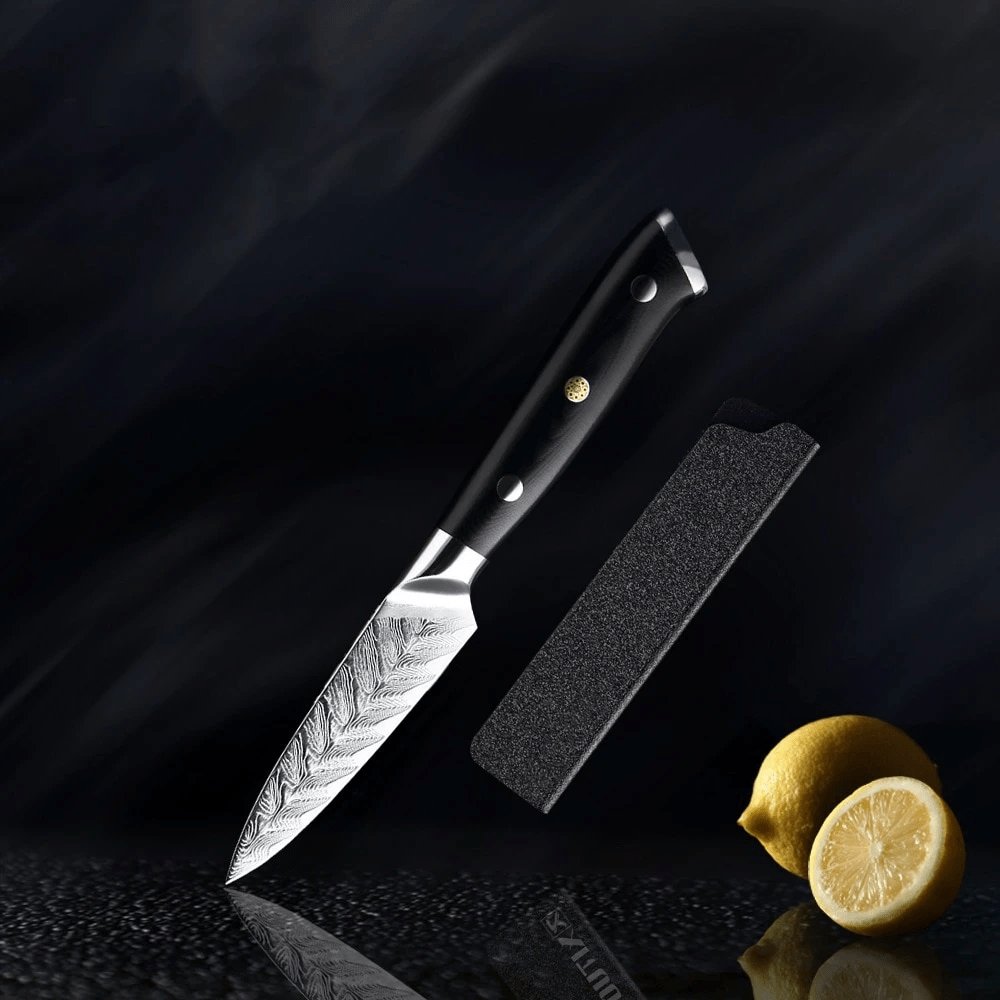 Riku (リク) damasco vg10 coltello