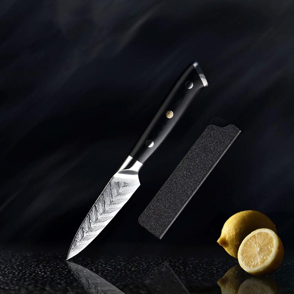 Riku (リク) damasco vg10 coltello